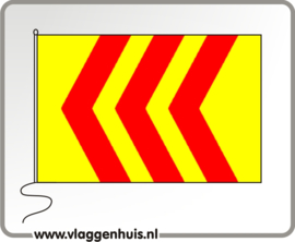 Vlag gemeente Voorst