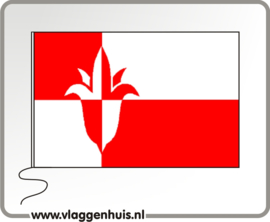 Vlag gemeente Bernheze