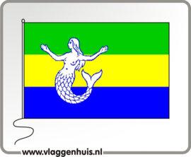 Vlag gemeente Eemsmond