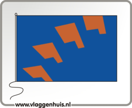 Vlag gemeente Berkelland