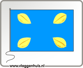 Vlag gemeente Hilversum