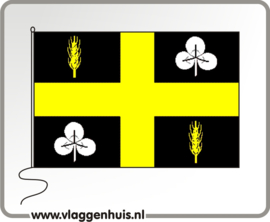 Vlag gemeente Raalte