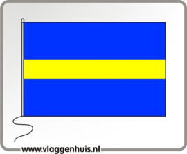 Vlag gemeente Borne