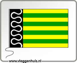 Vlag gemeente De Wolden