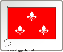 Vlag gemeente Beverwijk