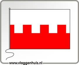 Vlag gemeente Rhenen