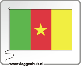 Tafelvlag Kameroen 10x15 cm