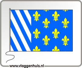 Vlag gemeente Bellingwedde