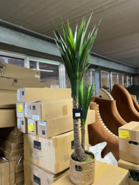 Kunstplant Yucca Nieuw in Verpakking 120 cm hoog