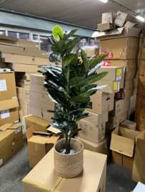 Kunstplant Ficus Elastica/Rubberplant Nieuw 130 cm hoog