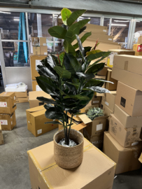 Kunstplant Ficus Elastica/Rubberplant Nieuw 130 cm hoog