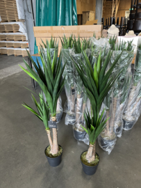 Kunstplant Yucca Nieuw in Verpakking 120 cm hoog