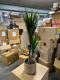 Kunstplant Yucca Nieuw in Verpakking 120 cm hoog
