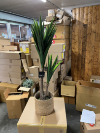 Kunstplant Yucca Nieuw in Verpakking 120 cm hoog
