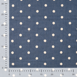 Chambray embroidery polkadots