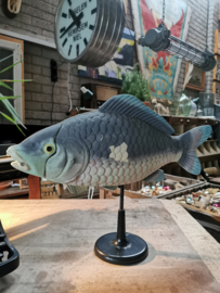 Vintage anatomical model fish/carp