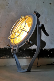 Industrial flood light