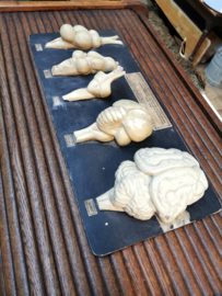 old plaster anatomical model