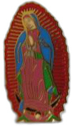 VIRGEN DE GUADELUPE PIN