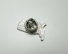USA PIN