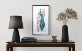'Peacock'