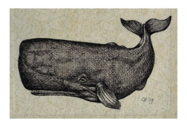 Spermwhale