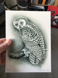Uil Giclee print
