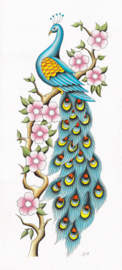 'Peacock' art print