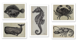 Set van 5 'Sealife' prints