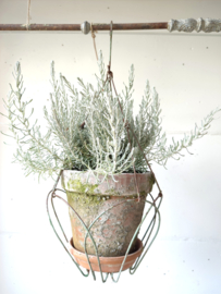 Plantenhanger