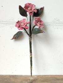 Magnolia Steel