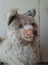 Shabby  Hondje