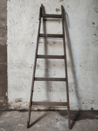 Ladder 194cm.
