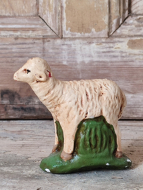 Schaap Gips