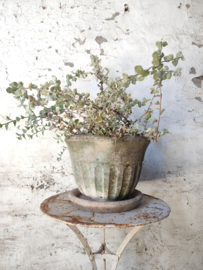 Plantenpot