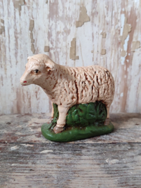 Schaap Gips