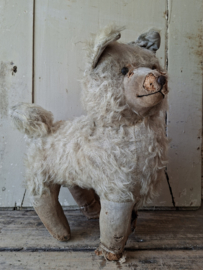 Shabby  Hondje