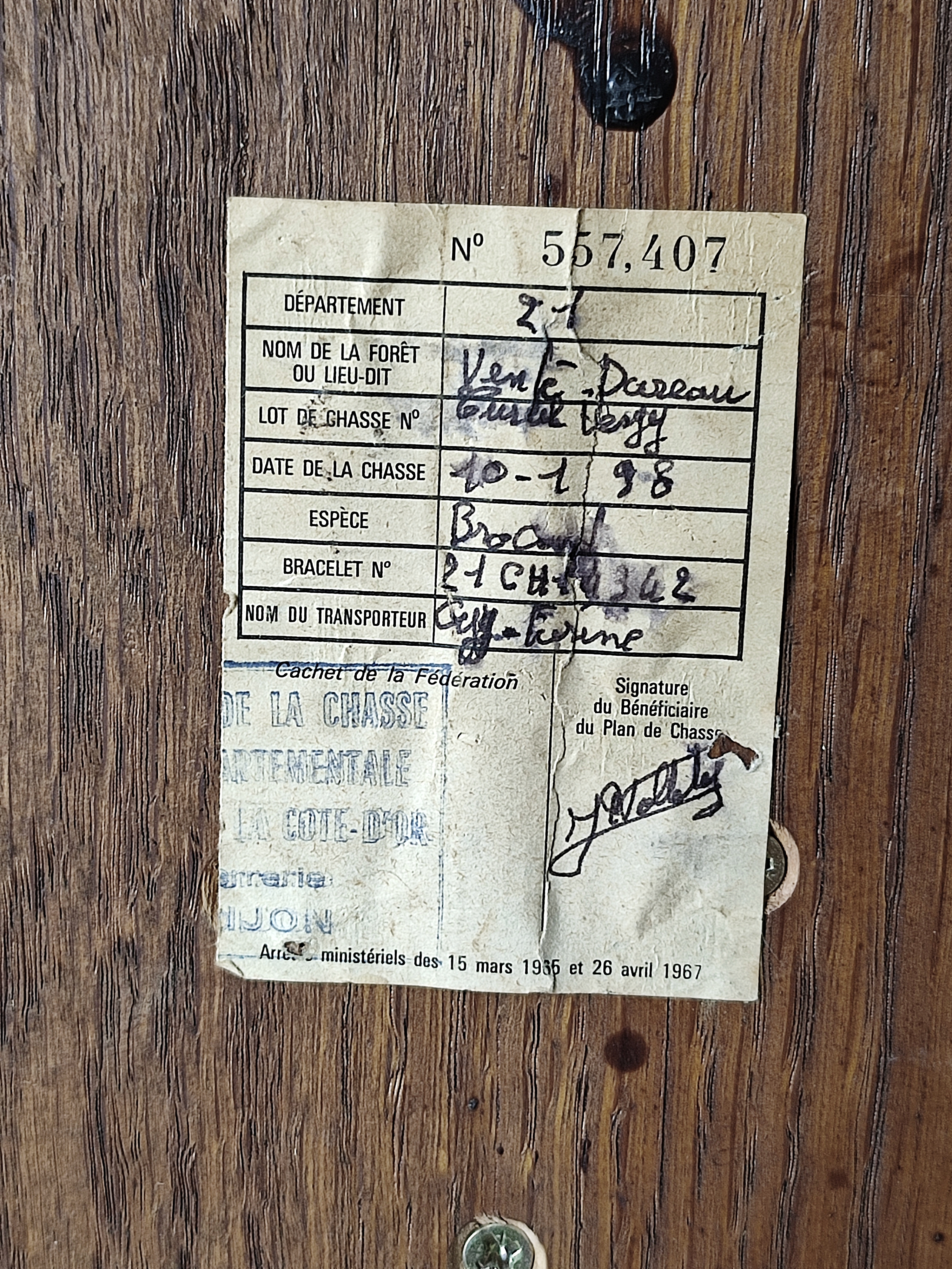 Hertenkop