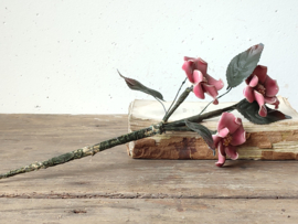 Magnolia Steel