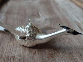 Vogel met Vleugels