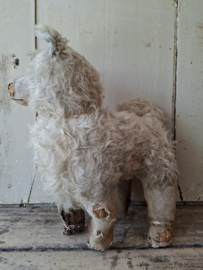 Shabby  Hondje