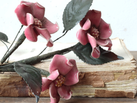 Magnolia Steel