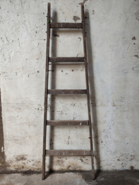 Ladder 194cm.