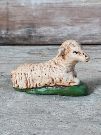 Lam / Schaap Gips
