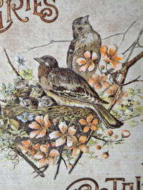 Cartes Postales Boek