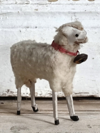 Ertzgebergte Schaapje