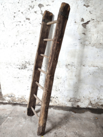 Boerenladder