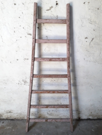 Ladder oud roze 176cm.