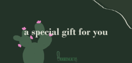 Ihaveacactus gift card €5,-