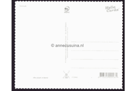 Onbeschreven Hello Cards Dagvlinders (2737579)